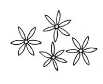 石蒜简笔画