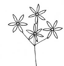 石蒜简笔画