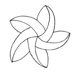 蜀葵简笔画