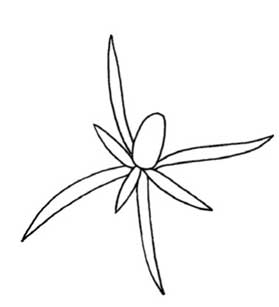 石竹简笔画