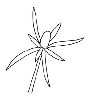 石竹简笔画