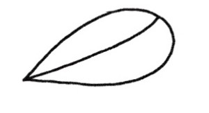 一串红简笔画