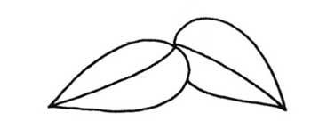 一串红简笔画
