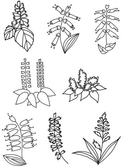 一串红简笔画
