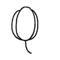 玉兰简笔画