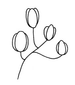 玉兰简笔画