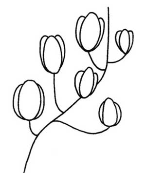 玉兰简笔画