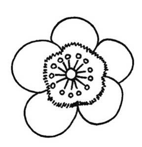 银莲花简笔画