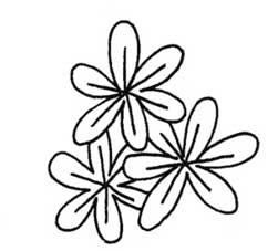风信子简笔画
