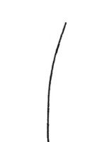 芦苇简笔画