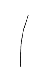 芦苇简笔画