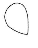 三叶草简笔画