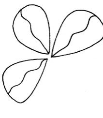 三叶草简笔画