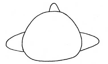 客机简笔画