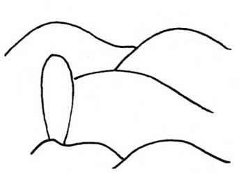 沙漠简笔画