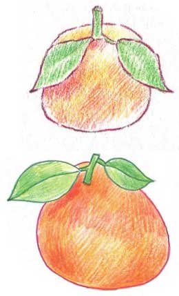 橙子简笔画