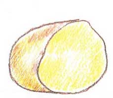土豆简笔画