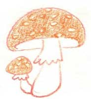 蘑菇简笔画