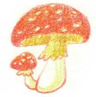 蘑菇简笔画