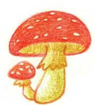 蘑菇简笔画