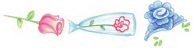 菊花简笔画