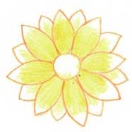 菊花简笔画