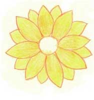 菊花简笔画
