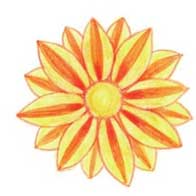 菊花简笔画