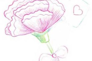 康乃馨简笔画