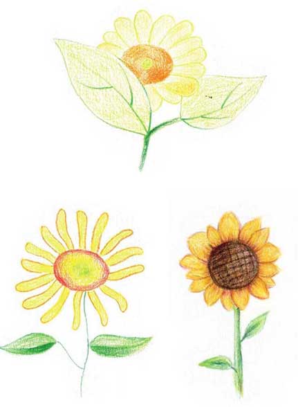 向日葵简笔画