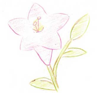 百合简笔画