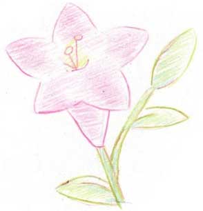 百合简笔画