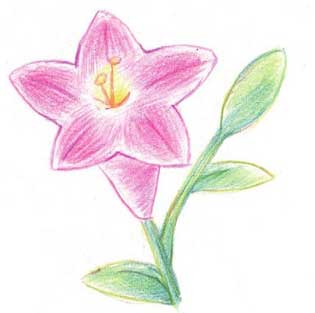 百合简笔画