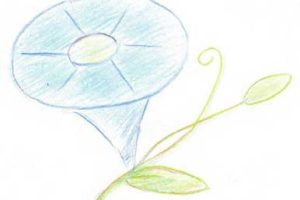 喇叭花简笔画