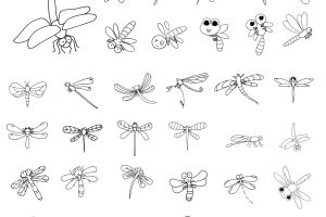 蜻蜓简笔画