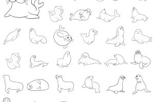 海狮简笔画