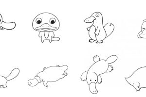 鸭嘴兽简笔画