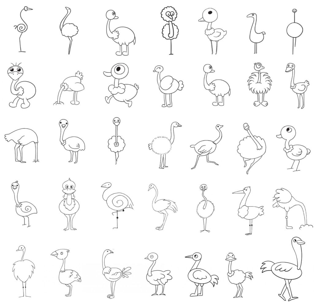 鸵鸟简笔画