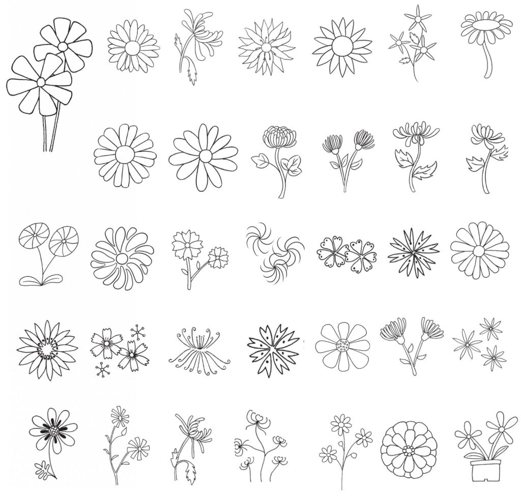 菊花简笔画