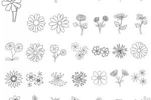 菊花简笔画