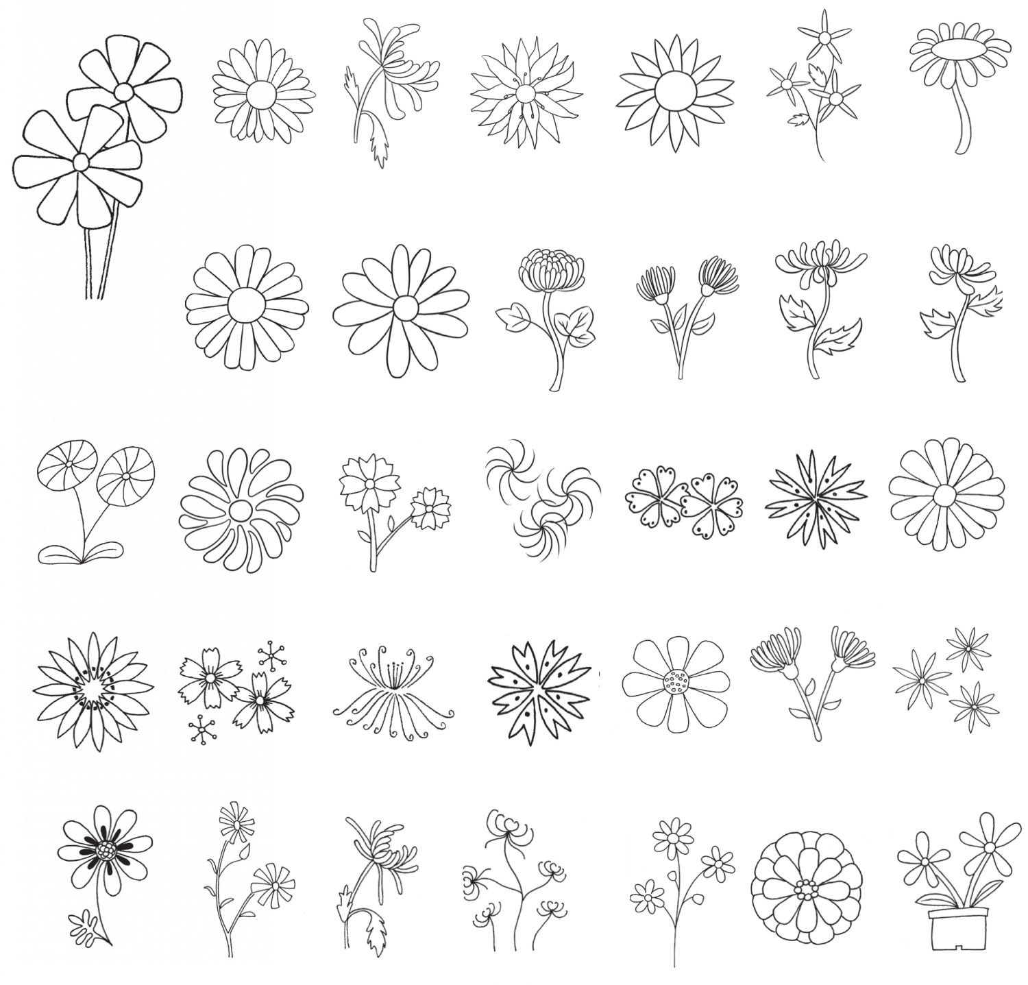 菊花简笔画