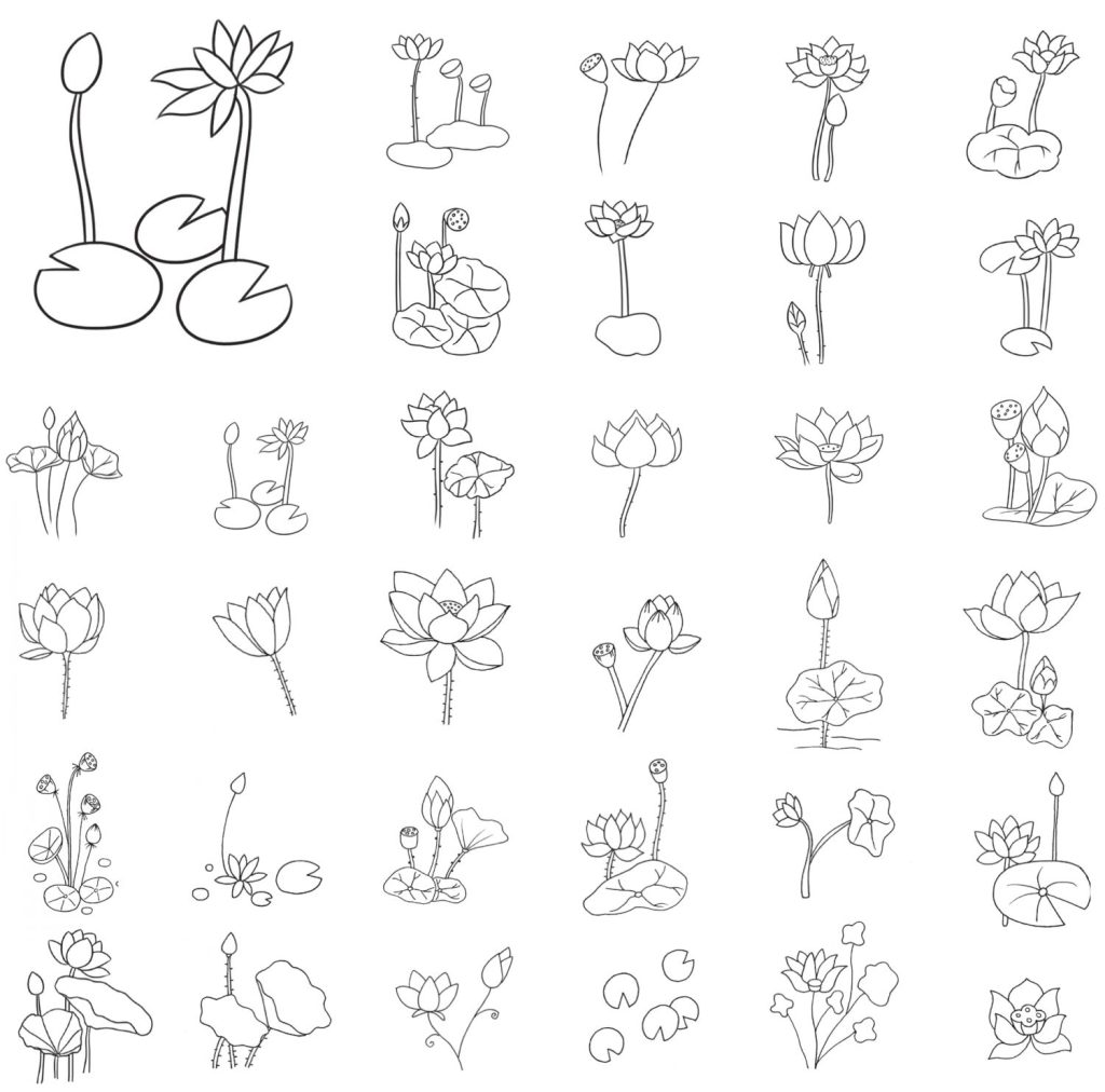 荷花简笔画