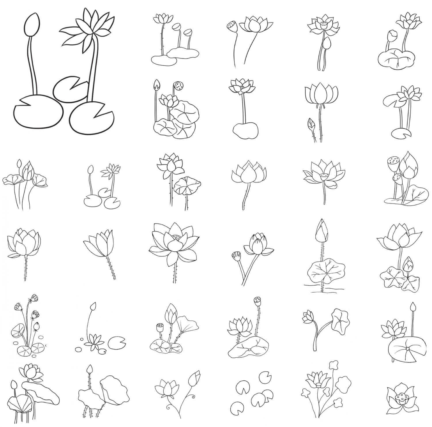 荷花简笔画