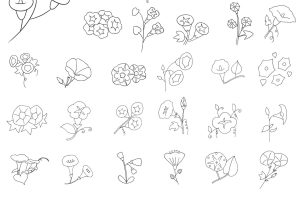 喇叭花简笔画