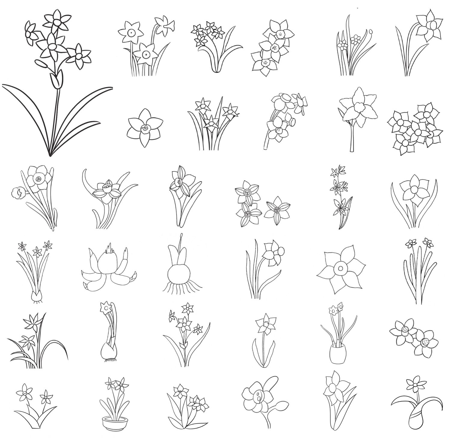 水仙花简笔画