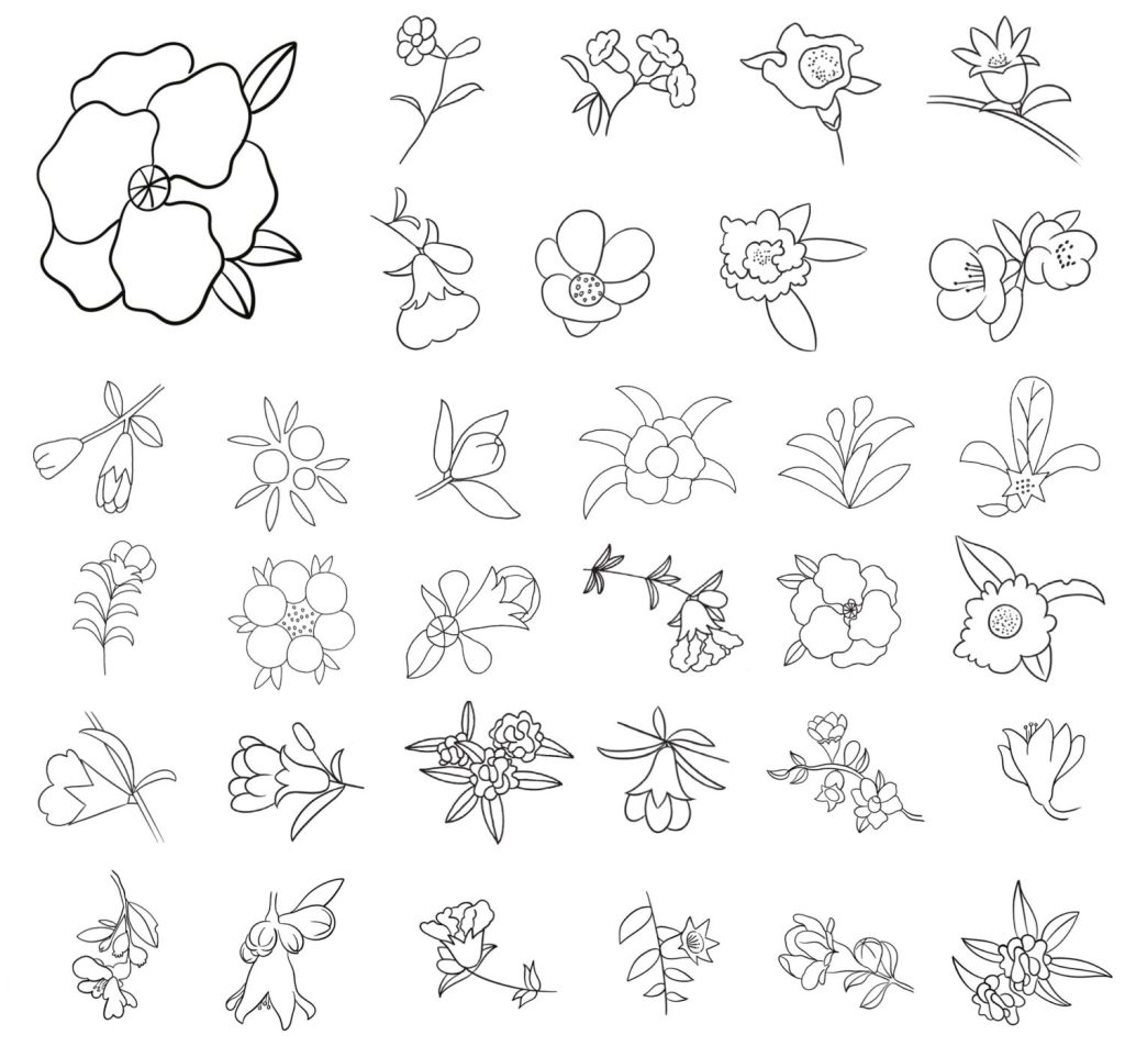 石榴花简笔画
