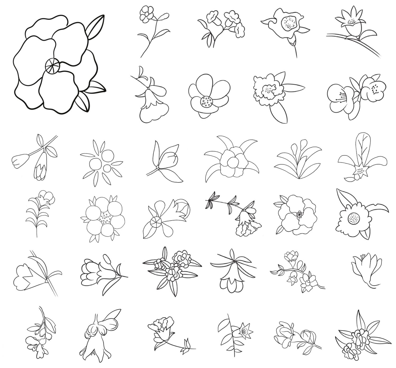 石榴花简笔画