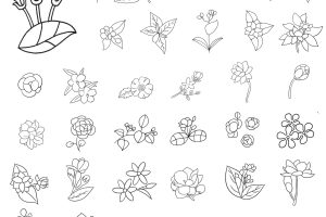 茉莉花简笔画