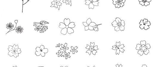 樱花简笔画