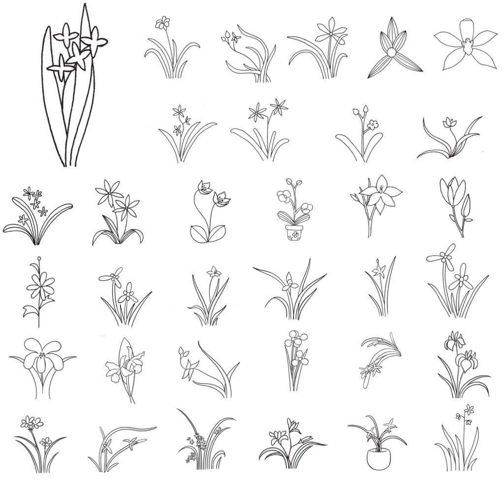 兰花简笔画